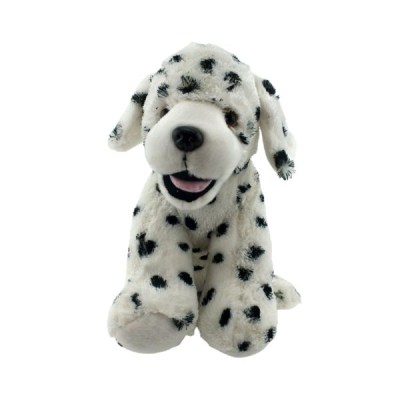 Pongo